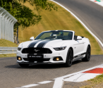 'Speed' Mustang