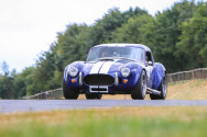 Shelby Cobra