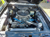 Ford V8 Capri