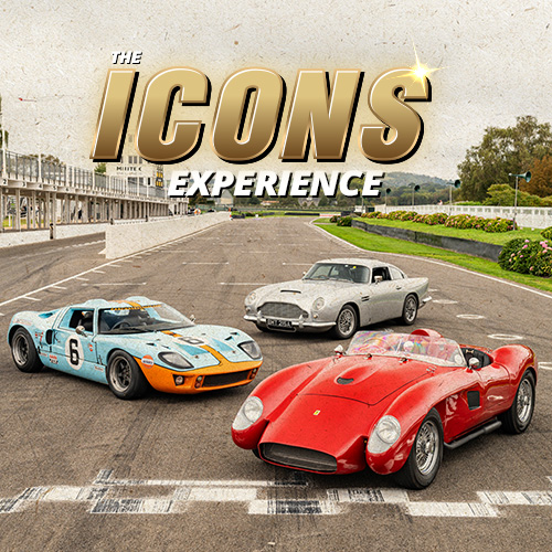 The Icons Experience