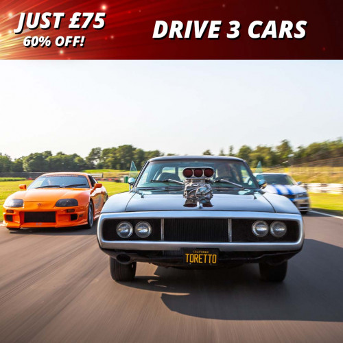 3 Car Driving Experience